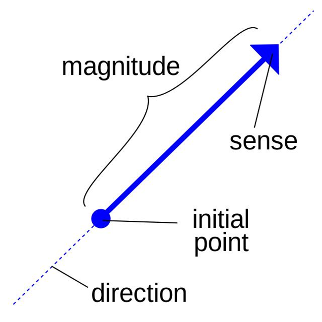 Difference Between Scalar and Vector Quantity
