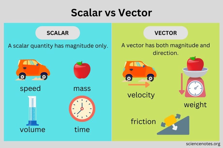 Scalar and Vector