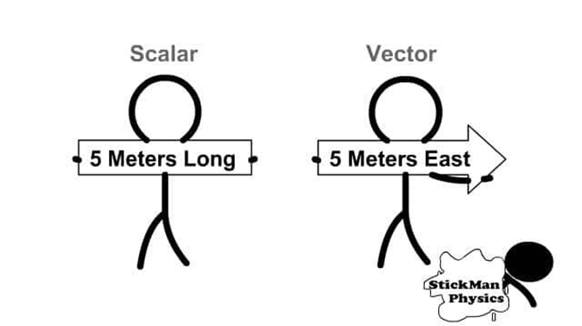 Scalar and Vector
