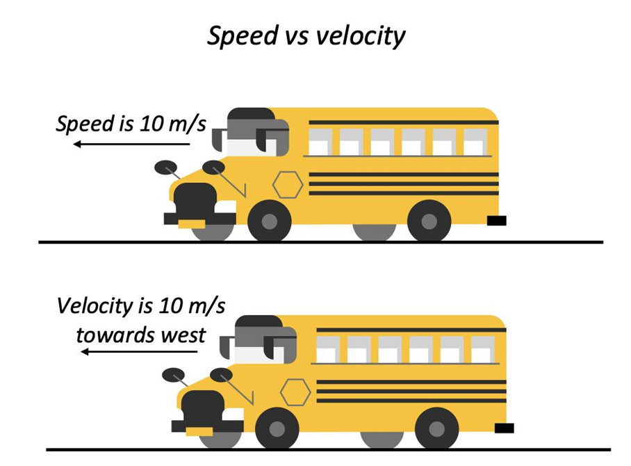 Scalar and Vector