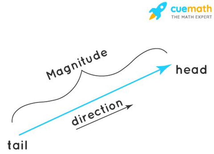 Difference Between Scalar and Vector Quantity